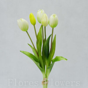 Zväzok tulipánov x5