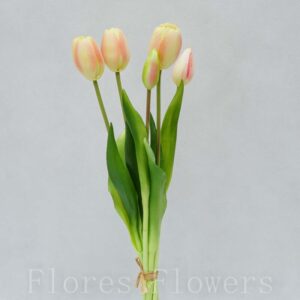 Zväzok tulipánov x5